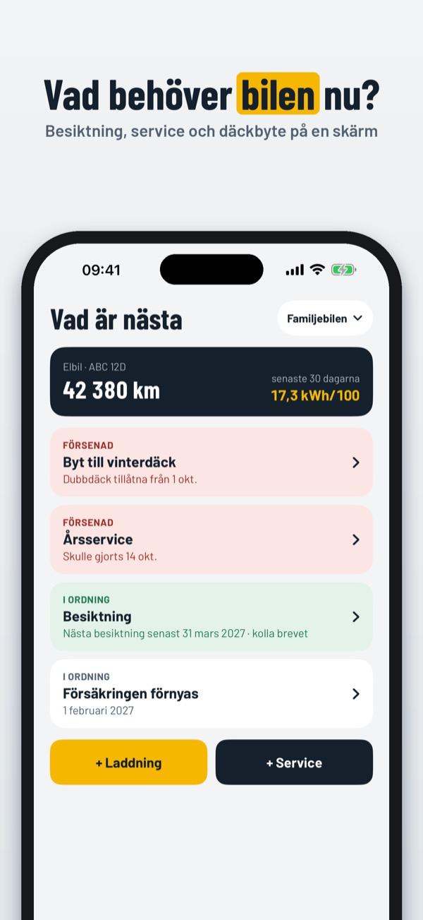 Bilboken – besiktning – Screenshot 1